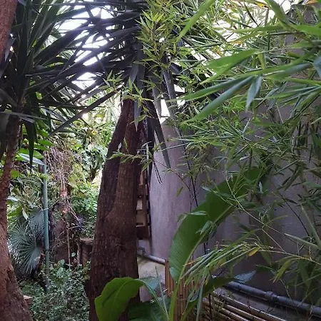 Palm Gallery Garden House מלון