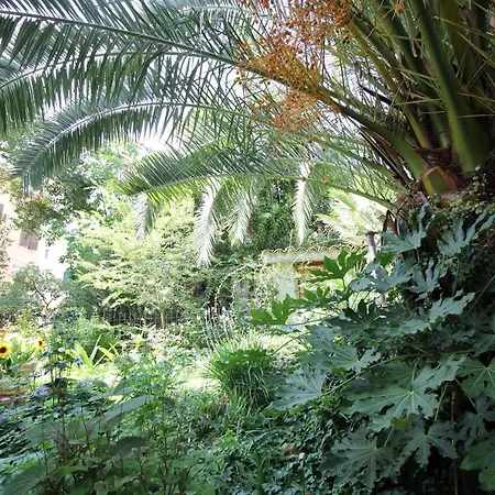 Palm Gallery Garden House מלון רומא